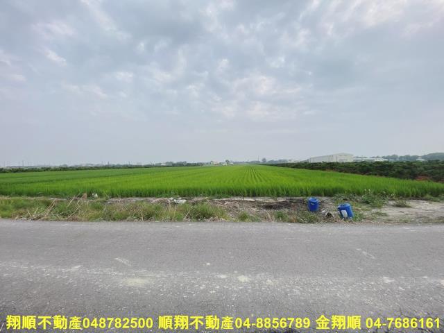 二林農地-2