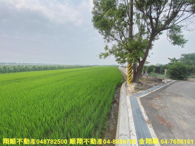 二林農地-3