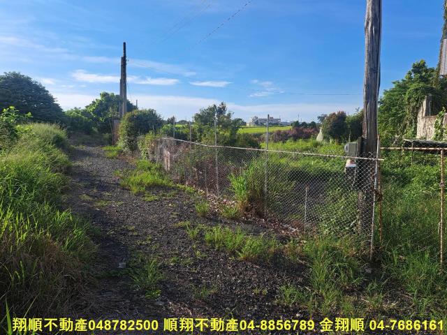 埤頭農地-9