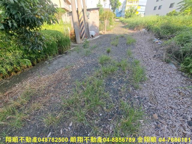 埤頭農地-3