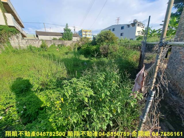 埤頭農地-5