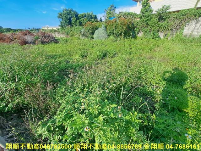 埤頭農地-6