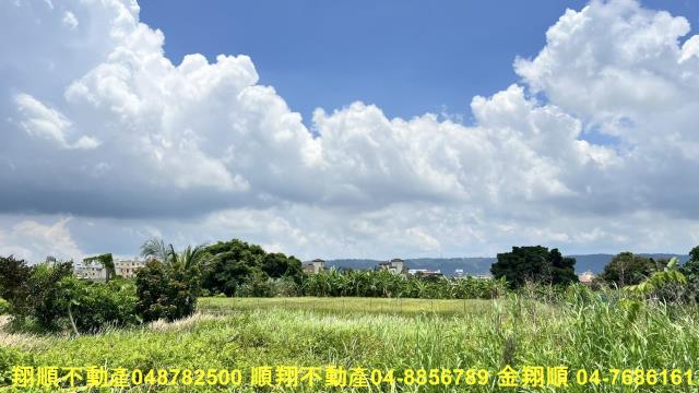 員林農地-1