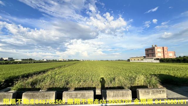 彰化農地-5