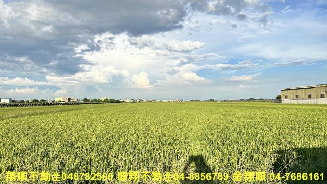 彰化農地-6