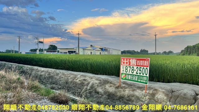 彰化芳苑農地-0