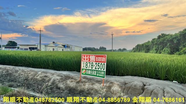 彰化芳苑農地-1