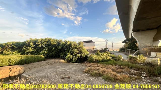 彰化芳苑農地-2