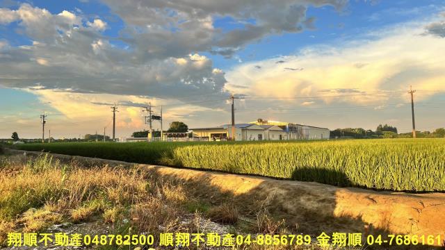 彰化芳苑農地-3