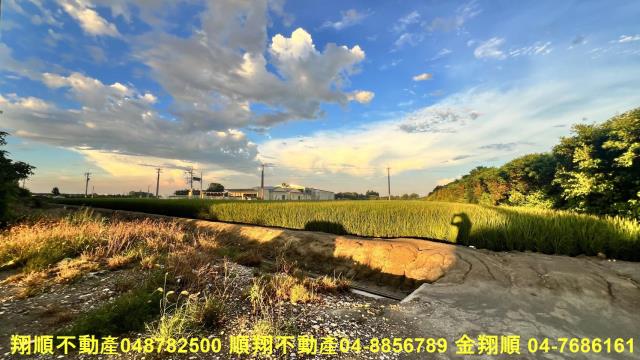 彰化芳苑農地-4