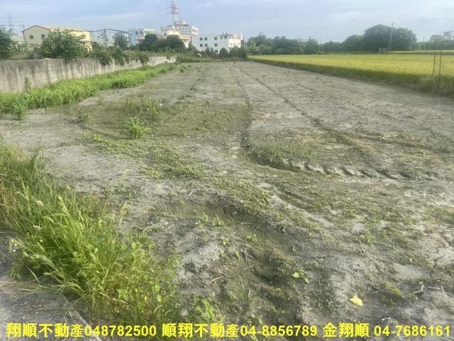 埤頭農地-2