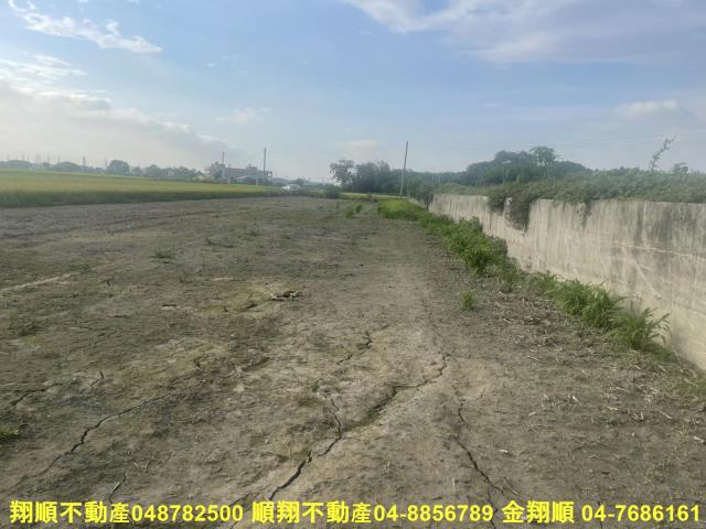 埤頭農地-4