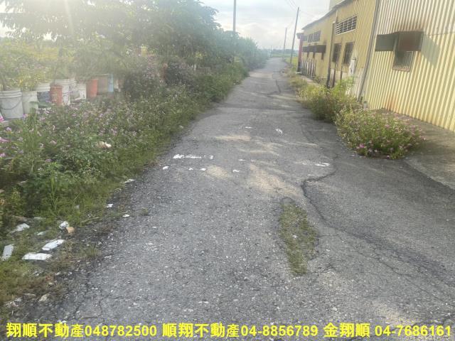 埤頭農地-8