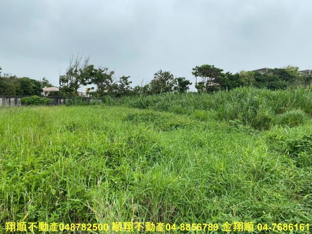 彰化建地-10