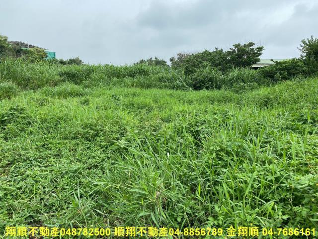 彰化建地-12