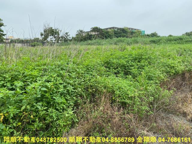 彰化建地-14