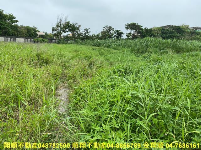 彰化建地-5