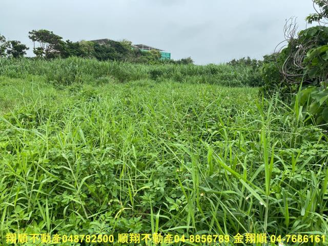 彰化建地-7