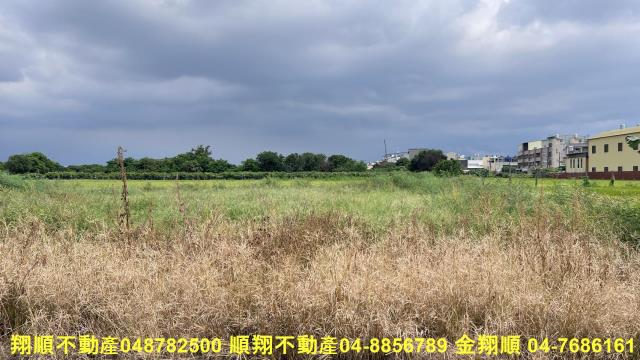 彰化溪湖農地-0