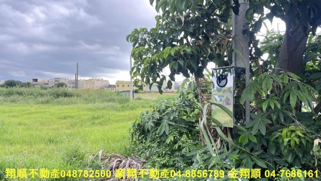 彰化溪湖農地-8