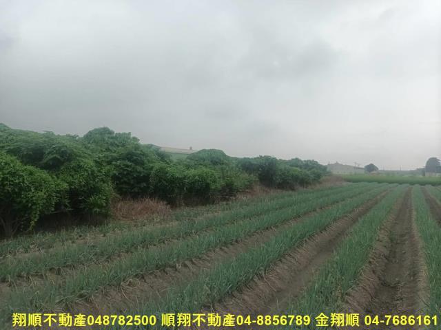 芳苑農地-2
