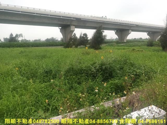 彰化芳苑農地-11