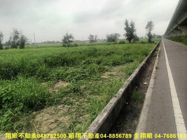 彰化芳苑農地-0
