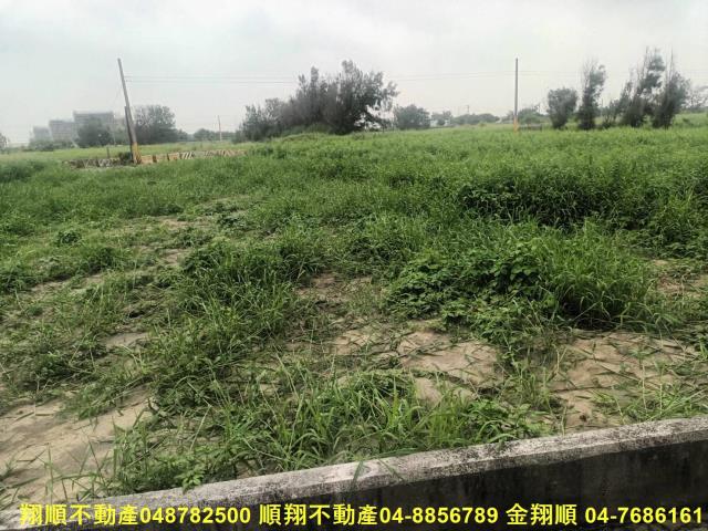 彰化芳苑農地-2