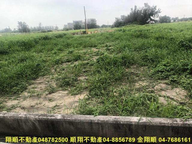 彰化芳苑農地-3