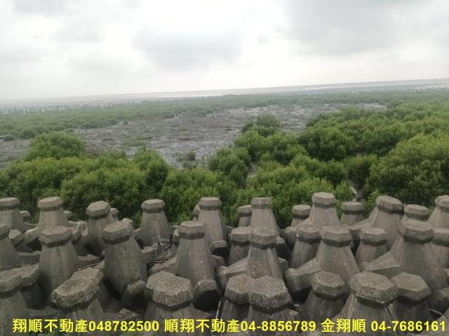 彰化芳苑農地-8