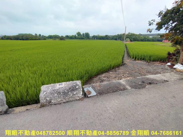 彰化溪州農地-0
