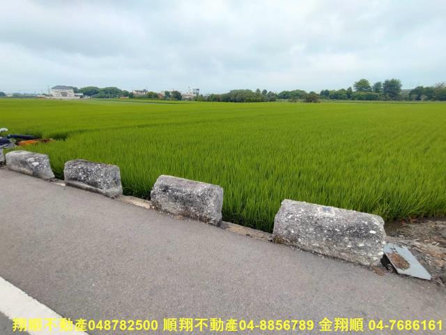彰化溪州農地-5