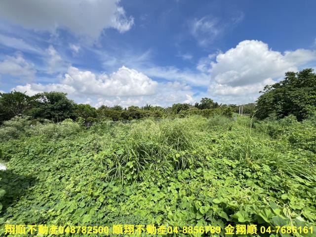 彰化田尾建地-0