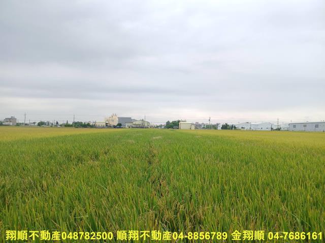 彰化埔鹽農地-0