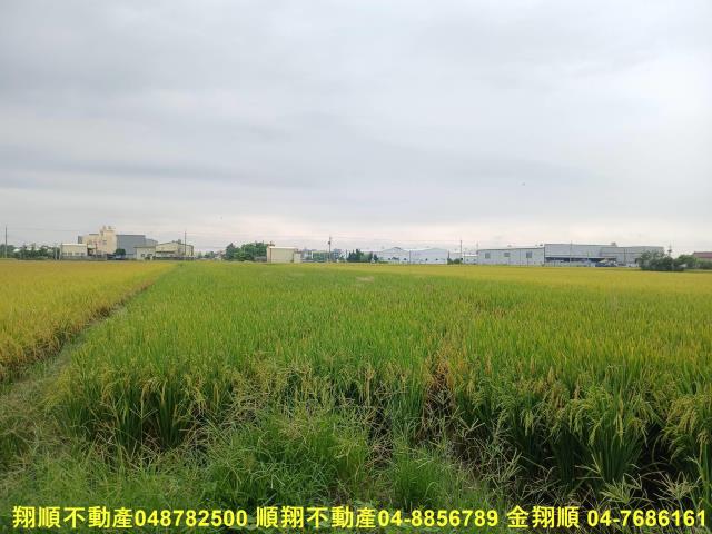 彰化埔鹽農地-1