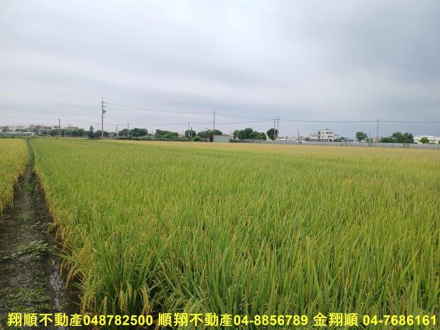 彰化埔鹽農地-3