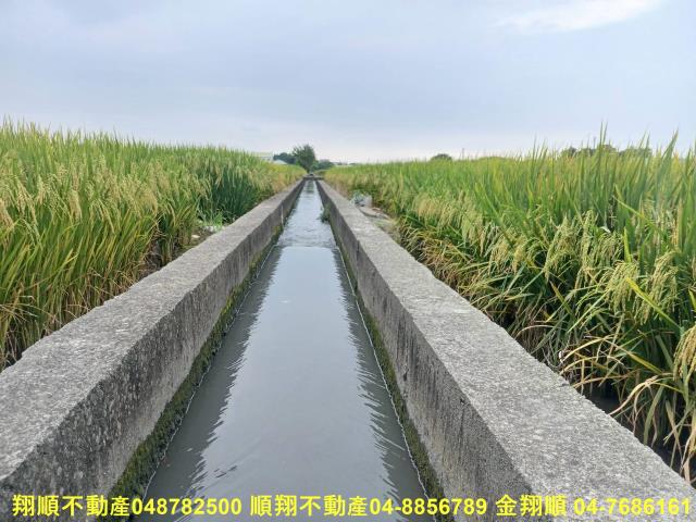 彰化埔鹽農地-5