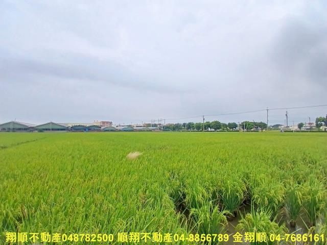 彰化埔鹽農地-2