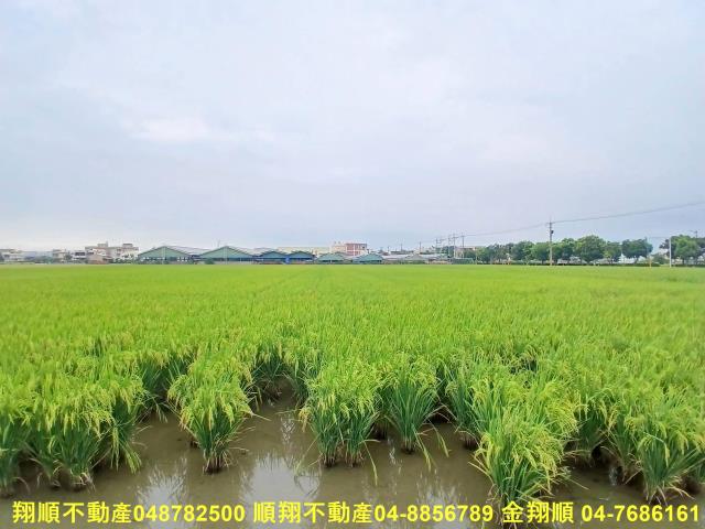 彰化埔鹽農地-4