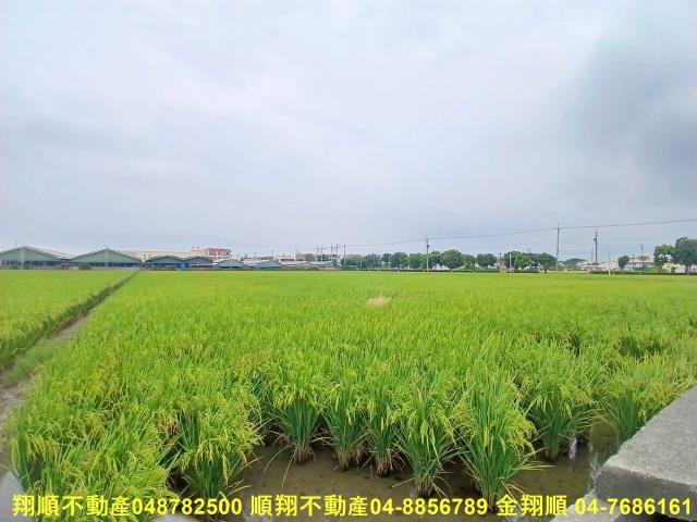 彰化埔鹽農地-5