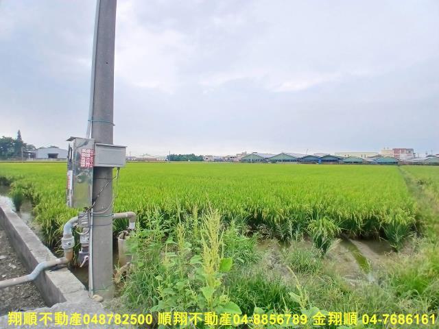 彰化埔鹽農地-7