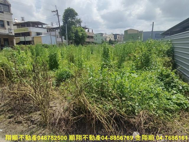彰化埔心農地-2