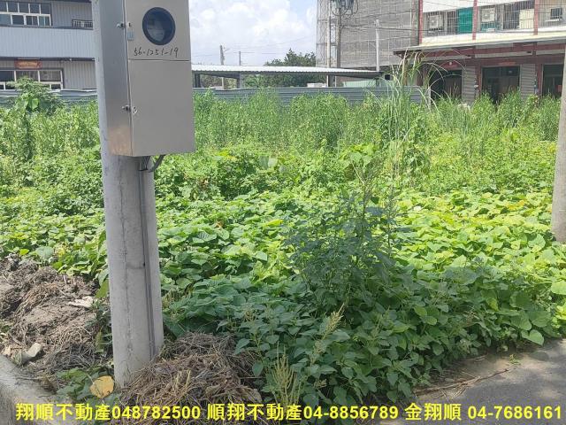 彰化埔心農地-6