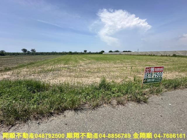 大城農地-0