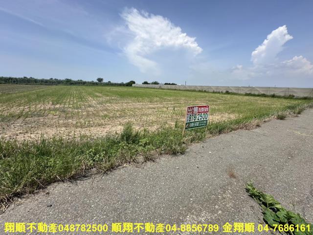 大城農地-2