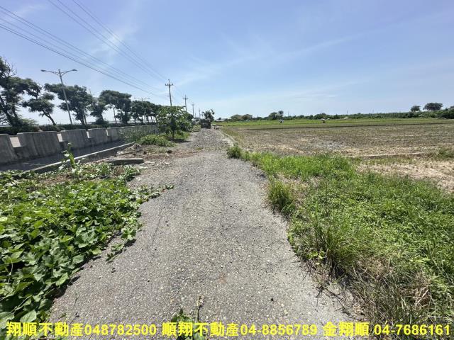 大城農地-3