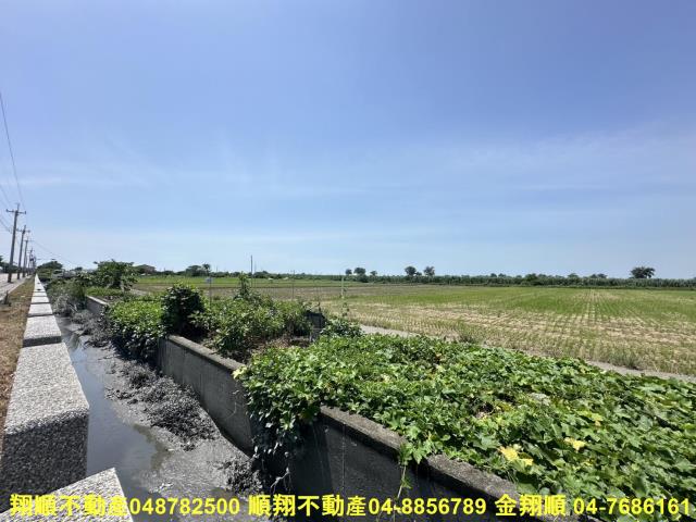 大城農地-4