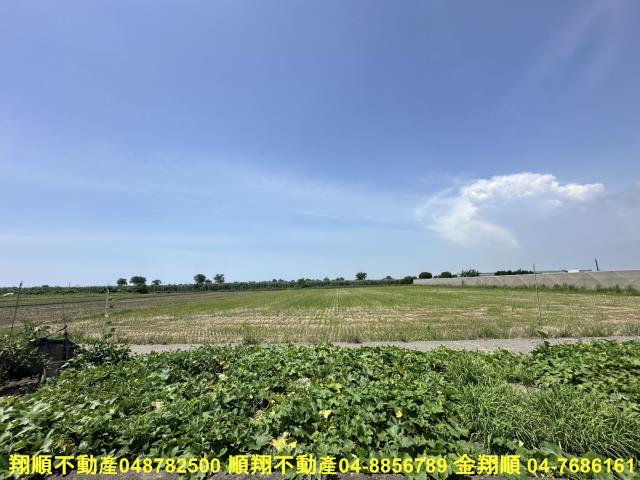 大城農地-6