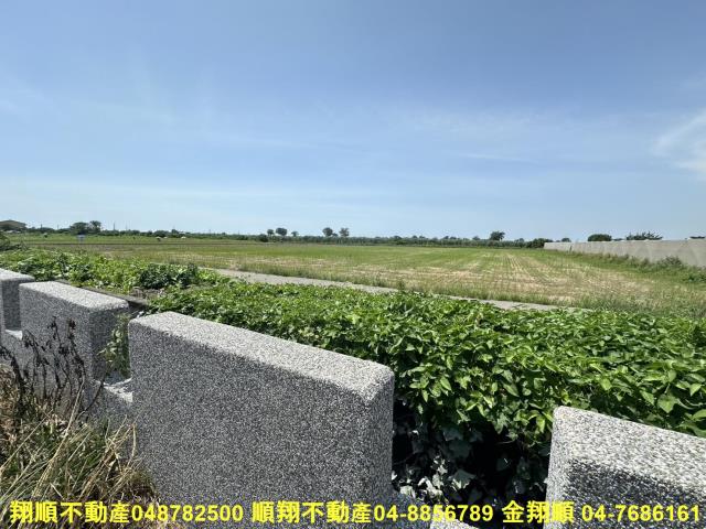 大城農地-7