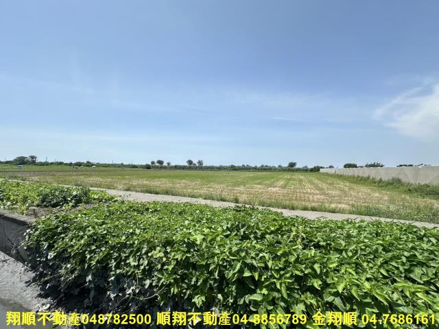 大城農地-8